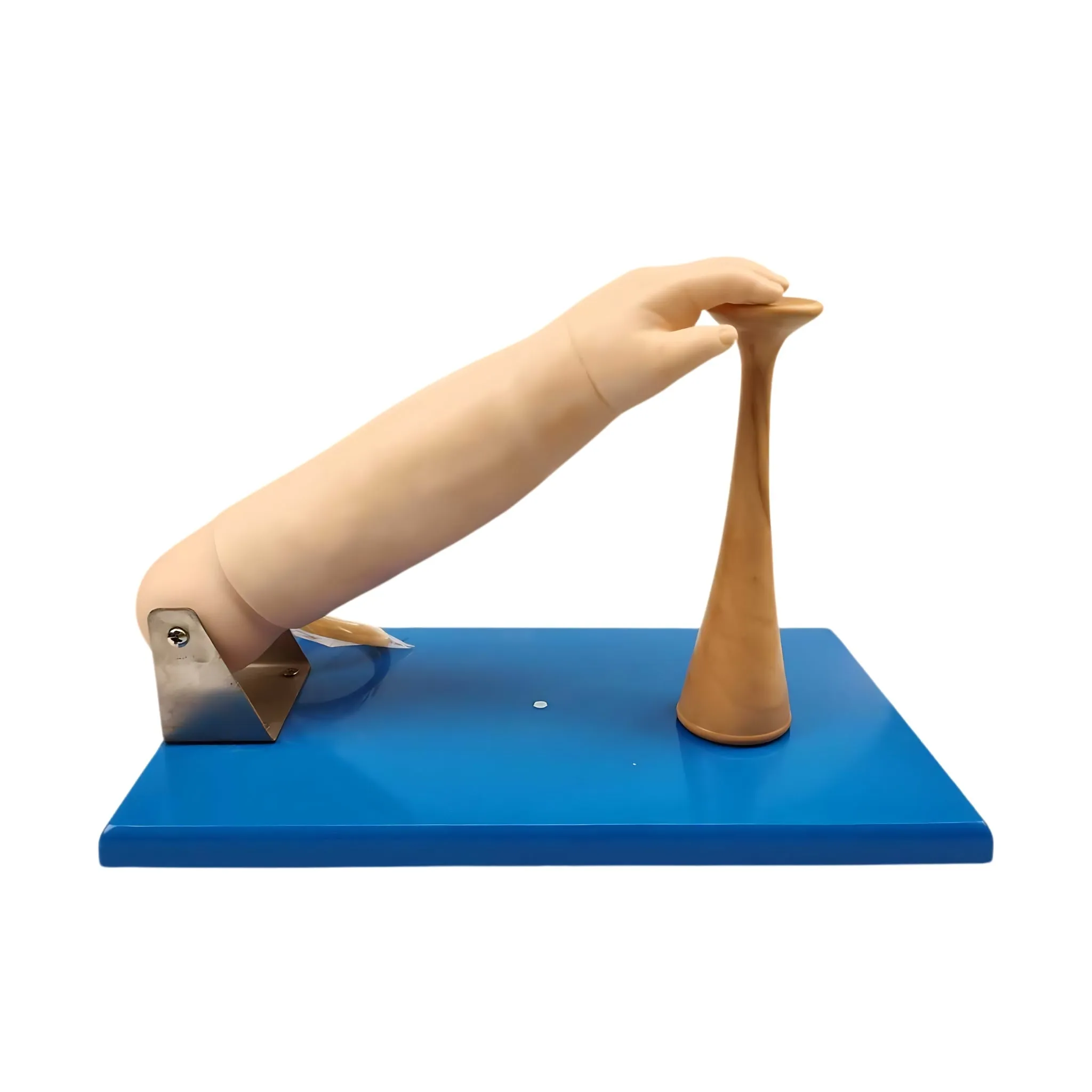 Advanced Paediatric Venepuncture Hand Model