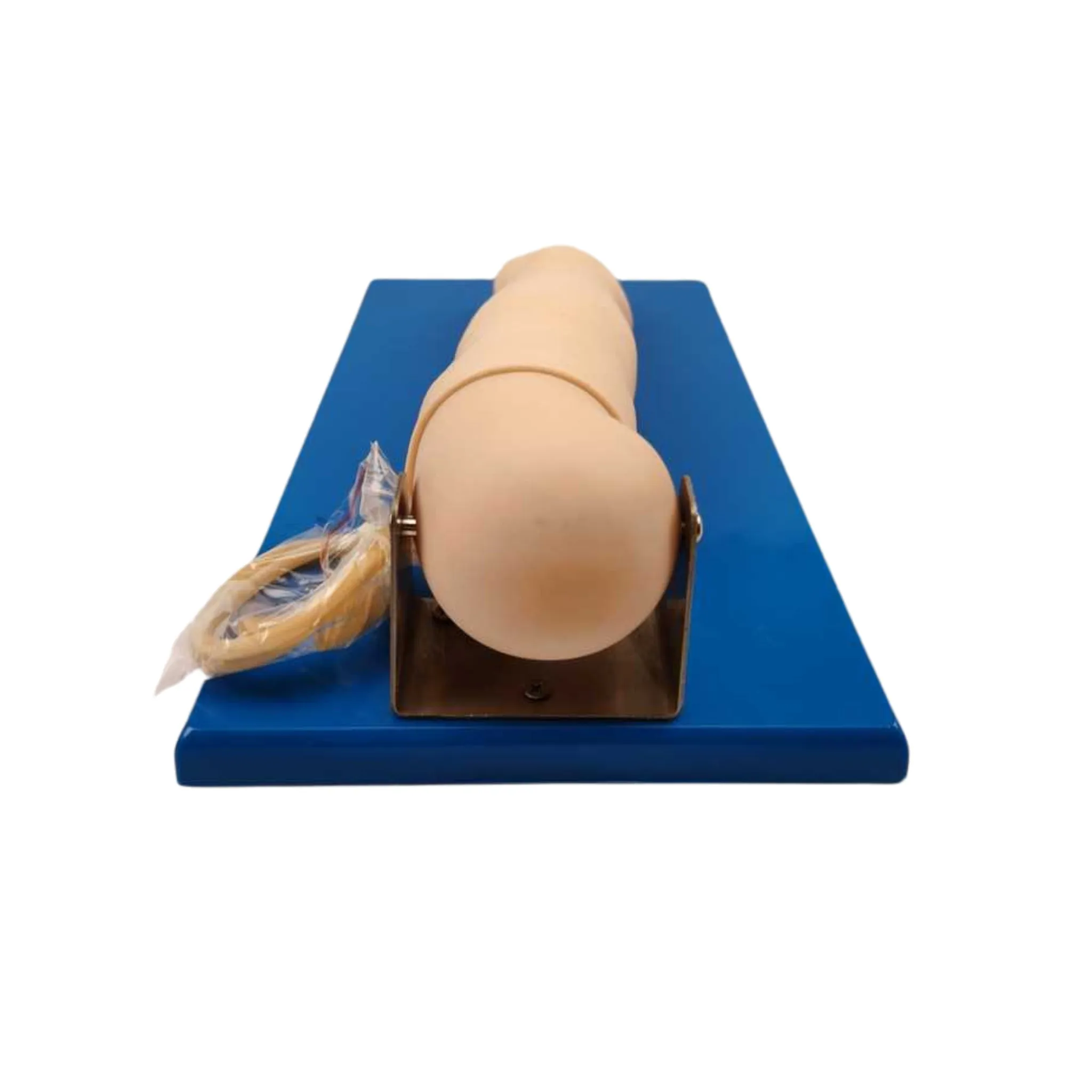 Advanced Paediatric Venepuncture Hand Model