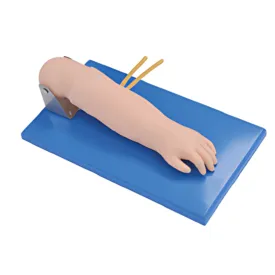 Advanced Paediatric Venepuncture Hand Model