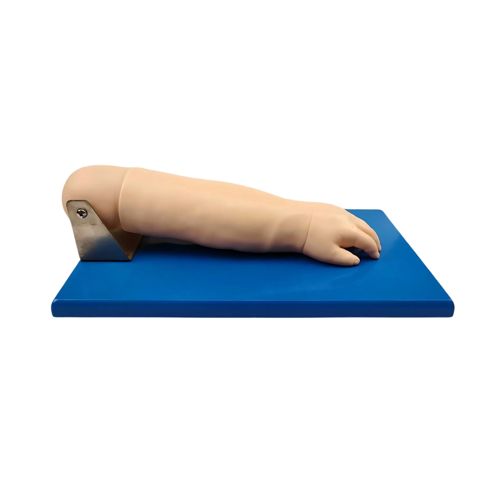 Advanced Paediatric Venepuncture Hand Model
