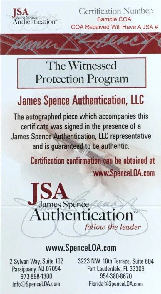 Roy Jones Jr Autographed Boxing Glove Black (JSA)