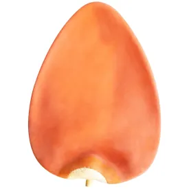 Speed Bag Replacement Bladders